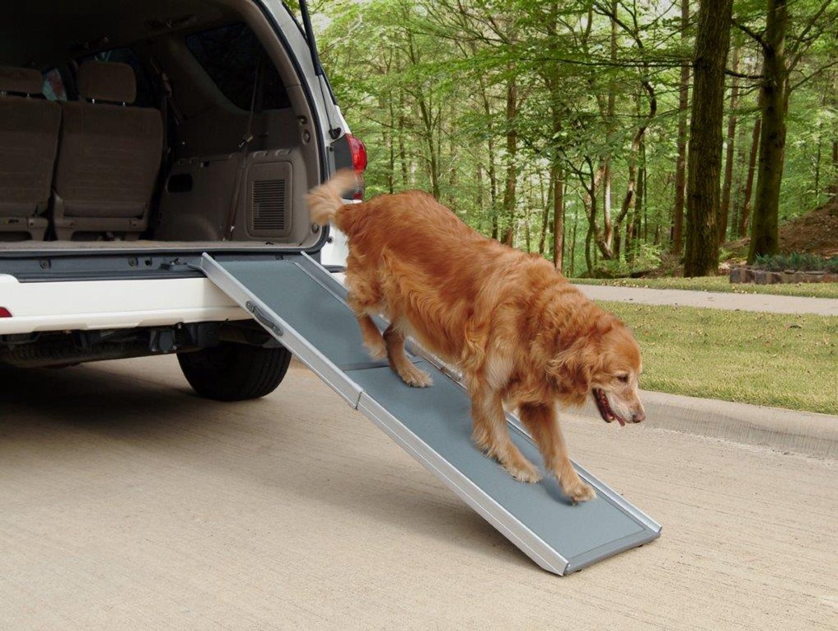 Petsafe extendable ramp for dogs - happy ride deluxe telescoping - easy and safe access to cars furniture - m-0