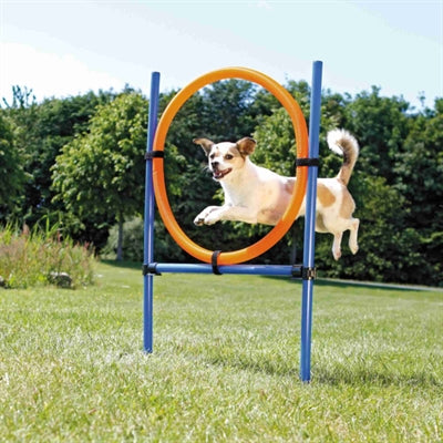 Trixie Dog Activity Agility Ring Blue Orange-0