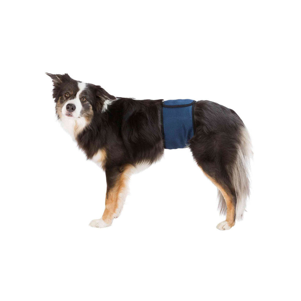 Incontinence Protector Trixie Male Plug Abdomen-0
