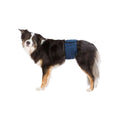 Incontinence Protector Trixie Male Plug Abdomen-0