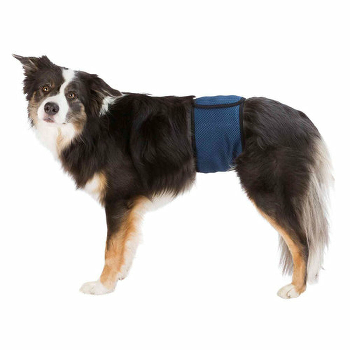 Incontinence Protector Trixie Male Plug Abdomen-9