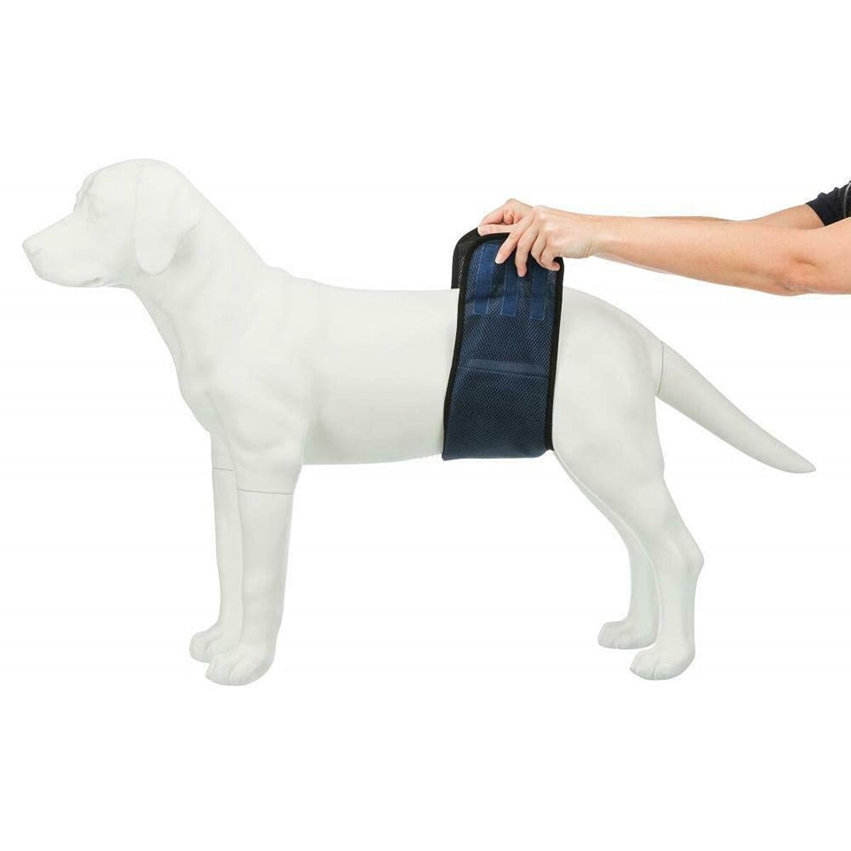 Incontinence Protector Trixie Male Plug Abdomen-7
