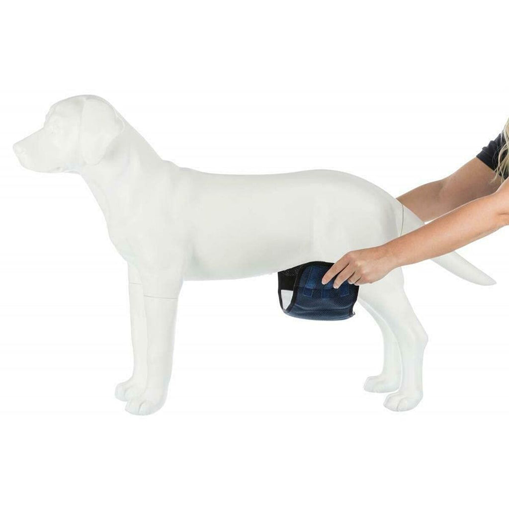 Incontinence Protector Trixie Male Plug Abdomen-6