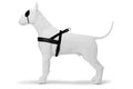 Morsø Norwegian Dog Harness – Recycled Pureness Black