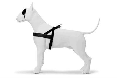 Morsø Norwegian Dog Harness – Recycled Pureness Black