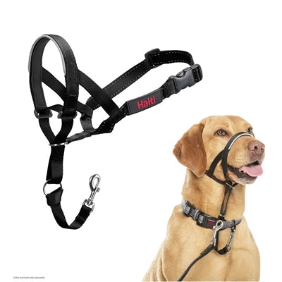 The company of animals company of animals halti headcollar black-0