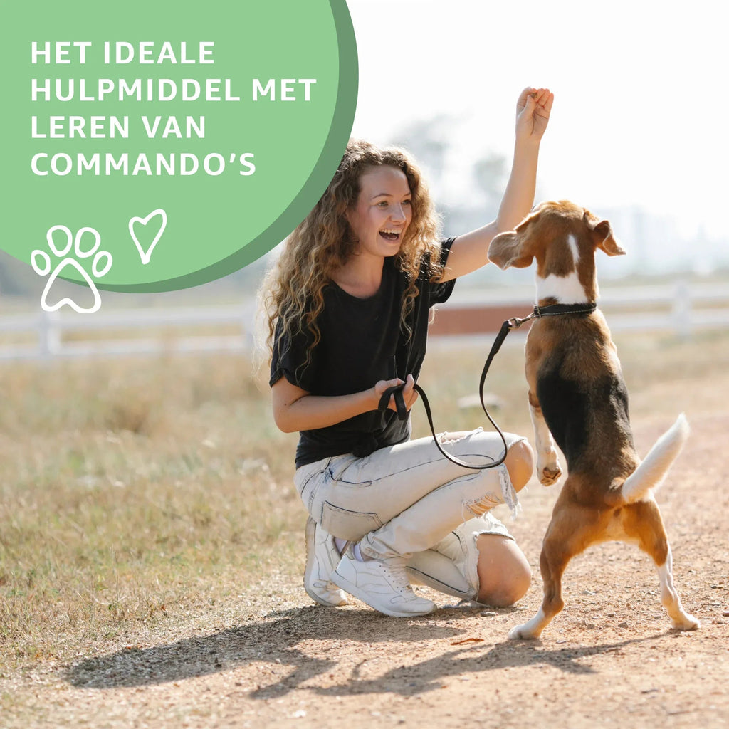 Puppy training snacks (lam)-2