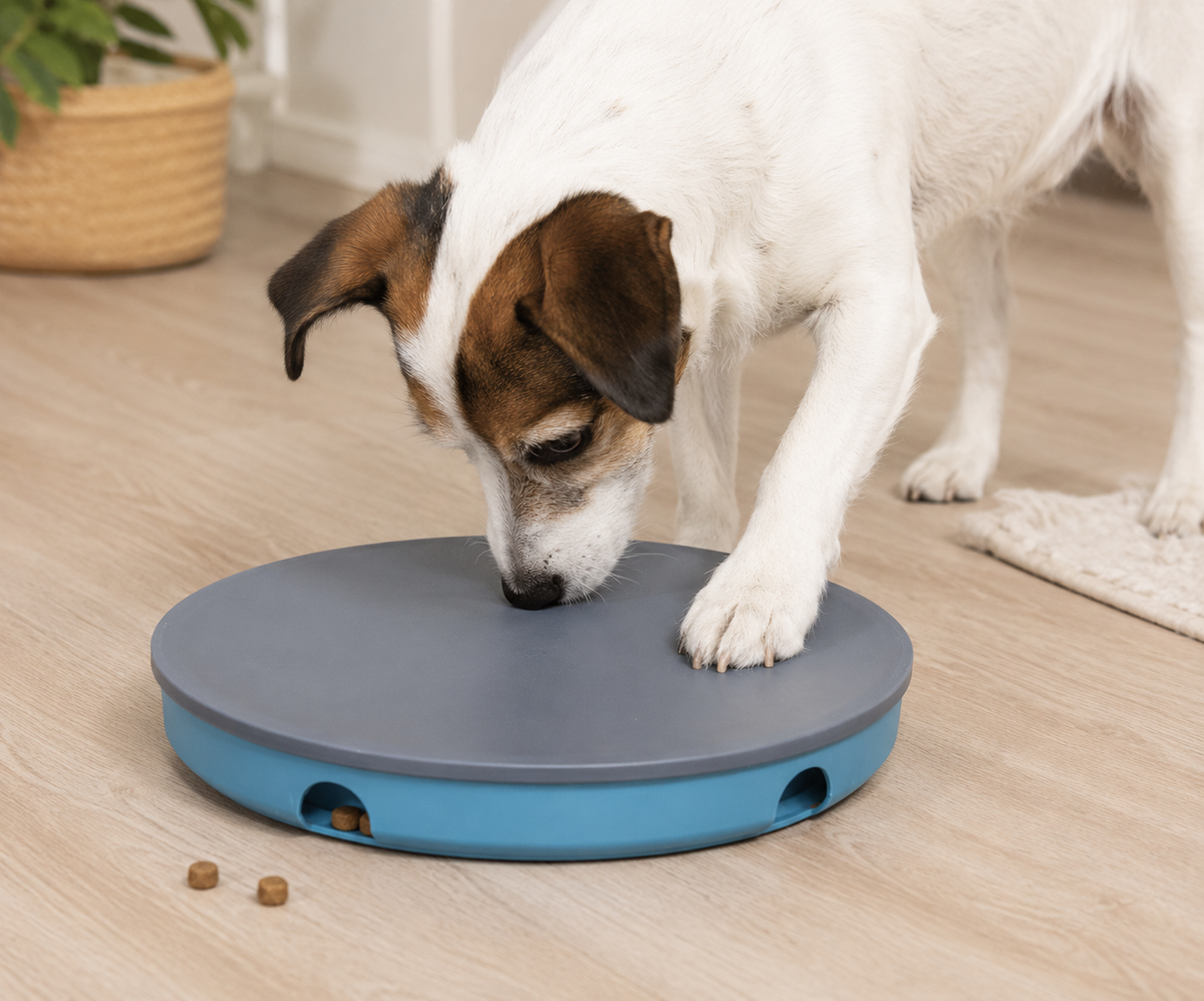 Trixie Dog Activity Rocking Maze – Plastic
