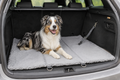 Trixie Amy Dog Travel Blanket – Grey, 100 x 70 cm