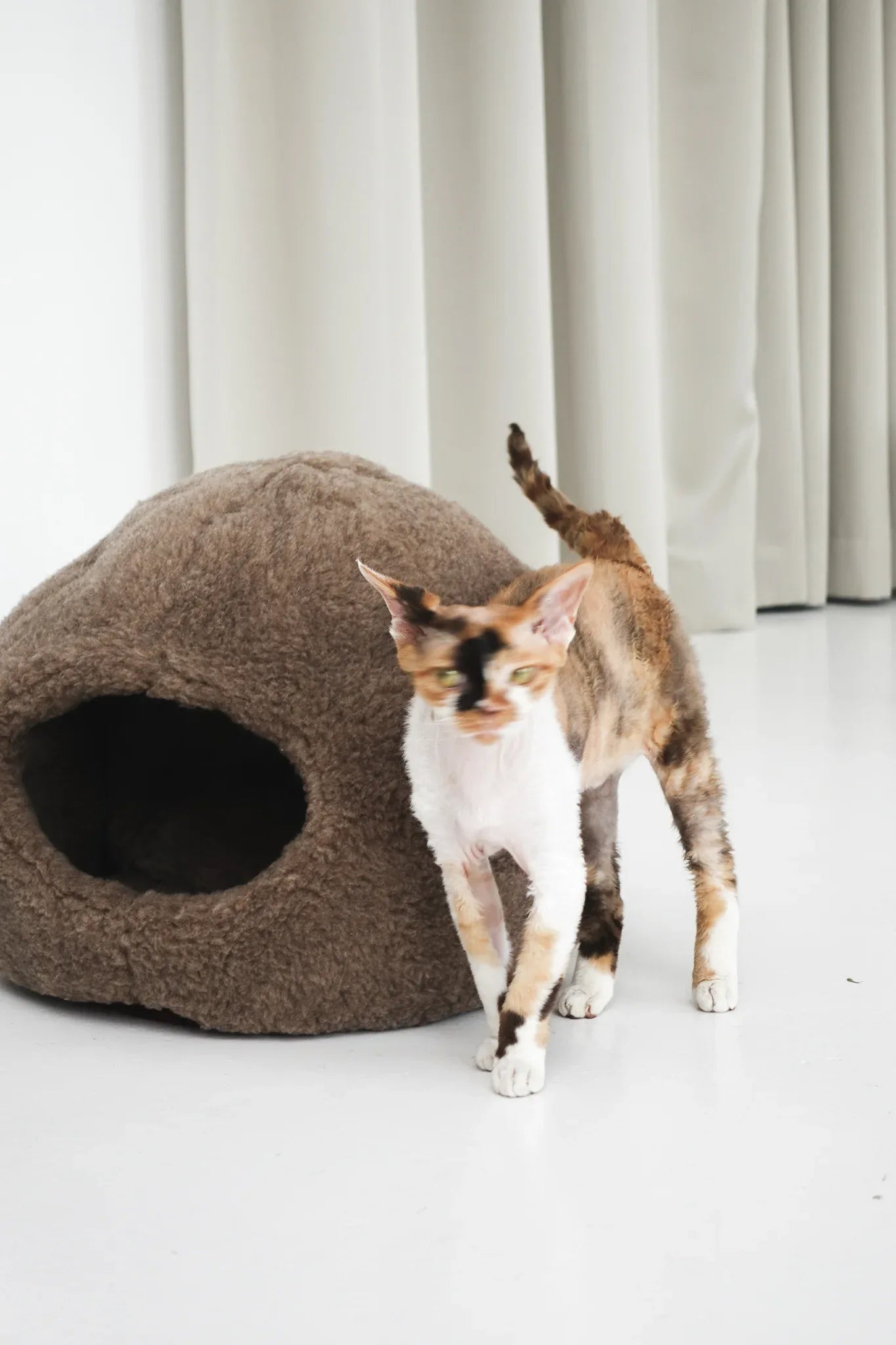 Nest Natural Sheepskin Pet Bed - Beige-0