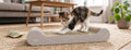 Trixie Junior Scratching Board with Catnip Light Grey 38 × 18 × 6 cm