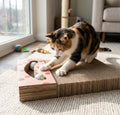 Trixie Scratching Board Hearts with Balls Apricot 38 × 30 × 5 cm