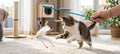 Trixie Cat Teaser with Assorted Feathers 41 cm