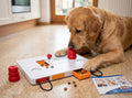 Trixie Dog Activity Move2Win Strategy Game 34 × 13 × 7 cm