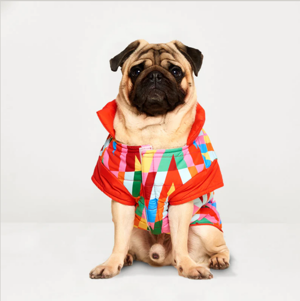 Color Splash Wasserdichte Pufferjacke-2