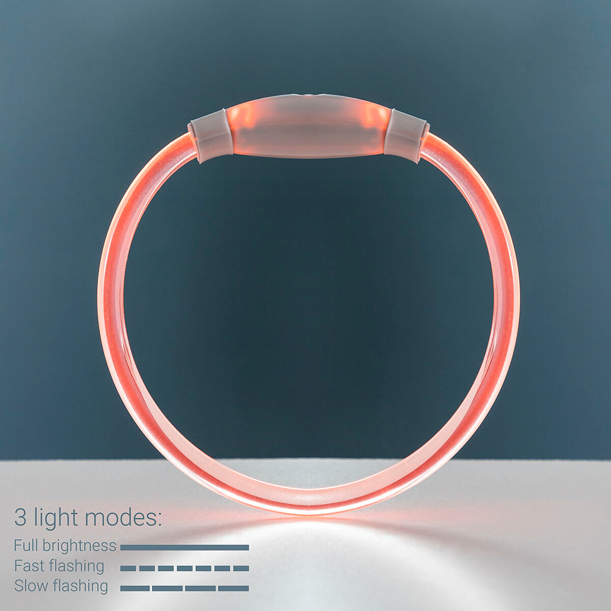LED Collar for Pets Petlux InnovaGoods-9
