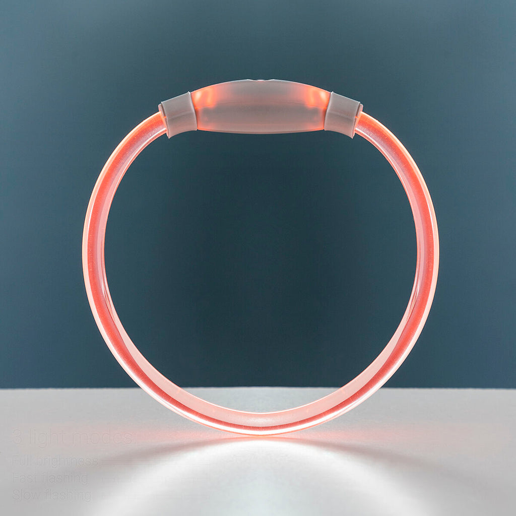 LED Collar for Pets Petlux InnovaGoods-8