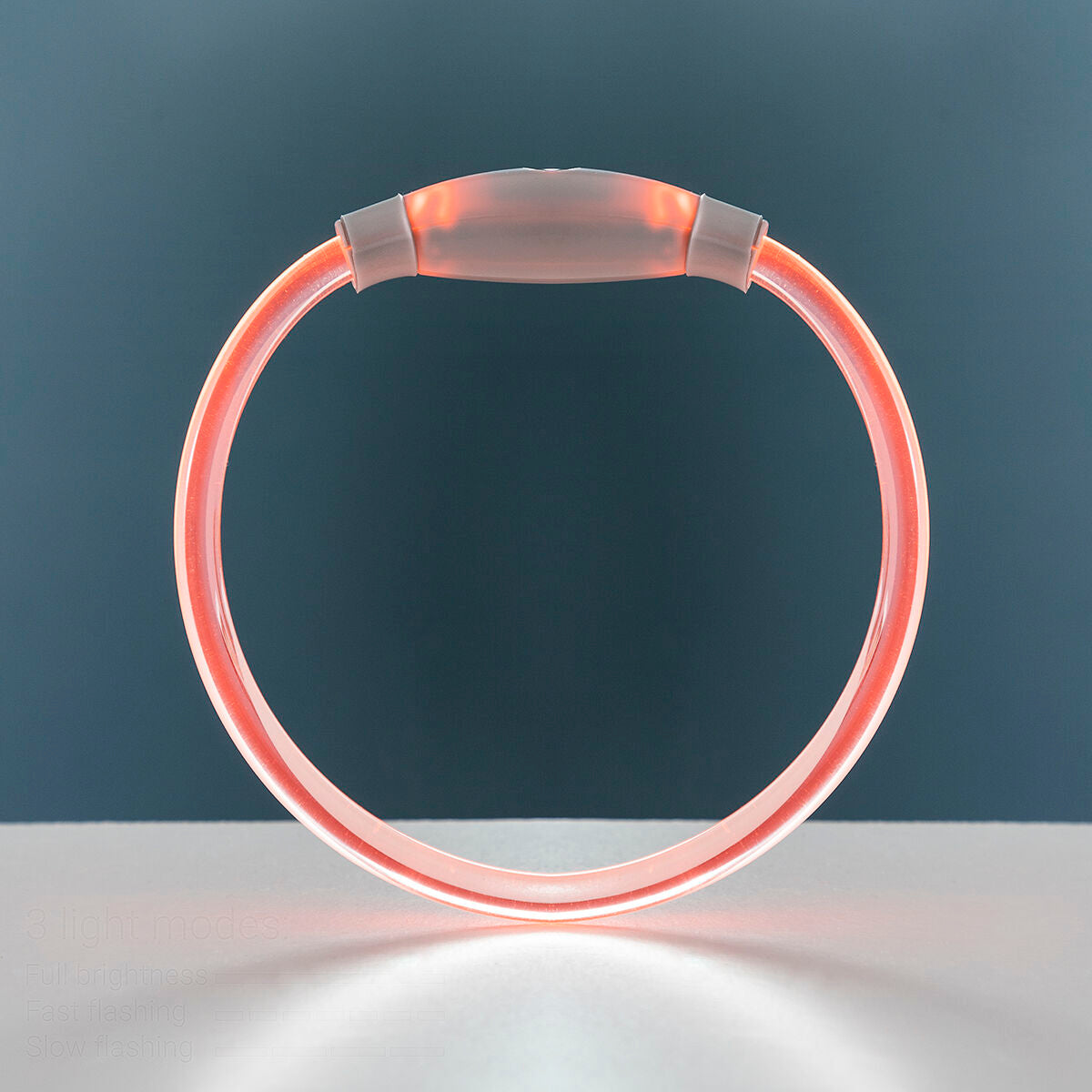 LED Collar for Pets Petlux InnovaGoods-8